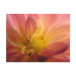Dahlia Inside Postcard