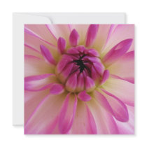 Dahlia Invitations