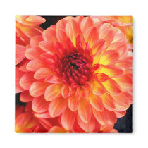 'Dahlia' Magnet