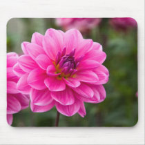 Dahlia Mousepad | Mousepad Dahlie