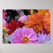 Dahlia Petals