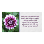 Dahlia pourpre et blanc cartes de vœux avec photo
