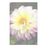 Dahlia pourpre, jaune et blanc papier à lettre personnalisé