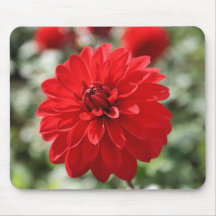 Dahlia rouge tapis de souris