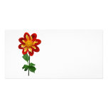 Dahlia simple rouge et jaune cartes avec photo