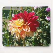 dahlia - ton deux tapis de souris