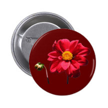 Dahlia w/Bud ~ button