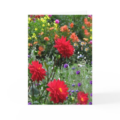 Dahlias for Mother's Day by Bebops