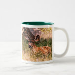 Daine de cerfs communs de mule tasse