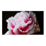 Dainty Pink Carnation Flower Floral Business Business Card Templates