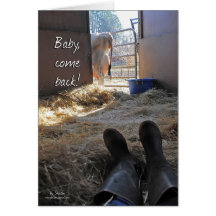 Dairy Cow Humour Cards