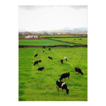Dairy Farm Announcement