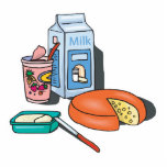 dairy foods photo sculptures