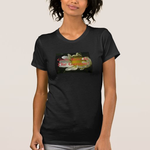 Daisey Tshirts