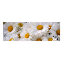 Daisies Abound [Skinny] Business Card