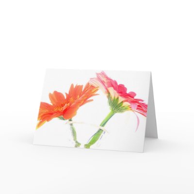 Daisies Greeting Cards by hilory10028