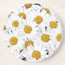 Daisies Coasters