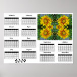 Daisies daisies - 2009 Calendar Poster