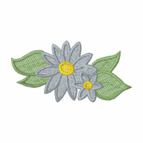 Daisies