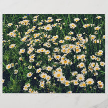 Daisies Flyer Design