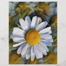DAISIES FLYERS