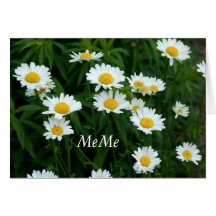 Daisies Greeting Card for MeMe