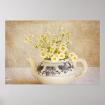 Daisies in a Teapot Poster
