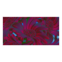 Daisies in a Whirlwind Photo Card Template