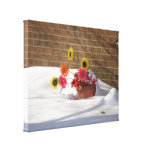 Daisies In The Snow Gallery Wrapped Canvas