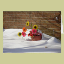 Daisies In The Snow cards