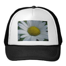 Daisies in the Sun Mesh Hats