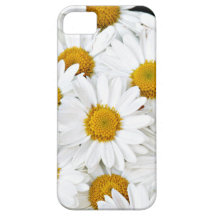 Daisies iPhone 5 Case