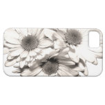 Daisies iPhone 5 Case