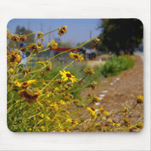 Daisies Mouse Mat