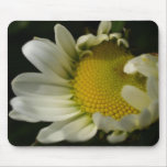 Daisies Mouse Pads