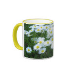 Daisies Coffee Mugs