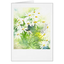 Daisies on green greeting cards