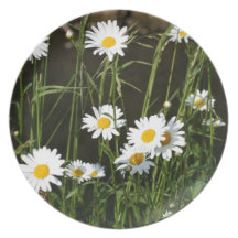 Daisies Party Plates