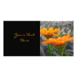 Daisies Photo Card