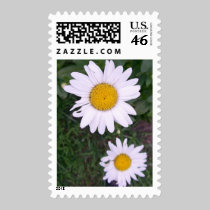Daisies stamps