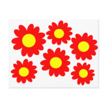 Daisies Post Card