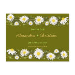 Daisies Save the Date Wedding Announcement 2 Card Post Cards