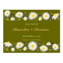 Daisies Save the Date Wedding Announcement 2 Card Postcards