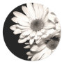 Daisies Stickers