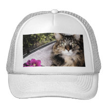 Daisy 1 mesh hat