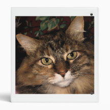 Daisy 3 vinyl binder