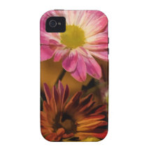 Daisy a Day Vibe iPhone 4 Cases
