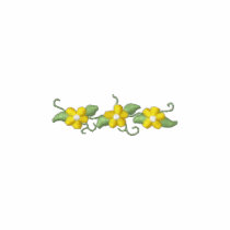 Daisy Accent