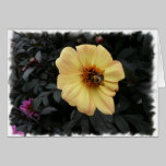 Daisy Bee card cards