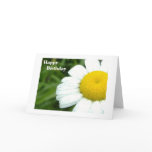 Daisy Birthday Cards